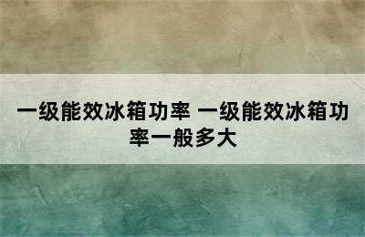 一级能效冰箱功率 一级能效冰箱功率一般多大